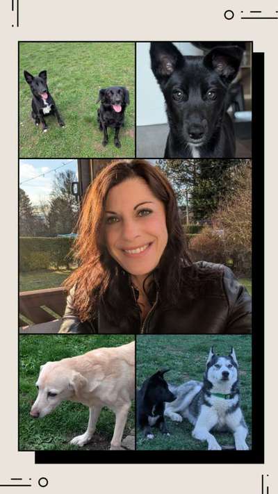 👀 Doppelgänger-Alarm: Siehst du deinem Hund ähnlich? Oder teilt ihr denselben Charakter? 🐾-Beitrag-Bild