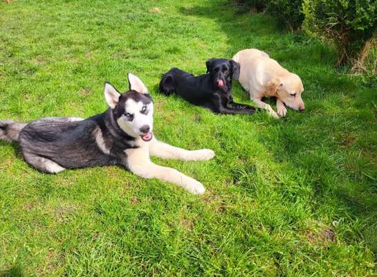 Farben Fotochallenge Thema ,,Grün"-Beitrag-Bild