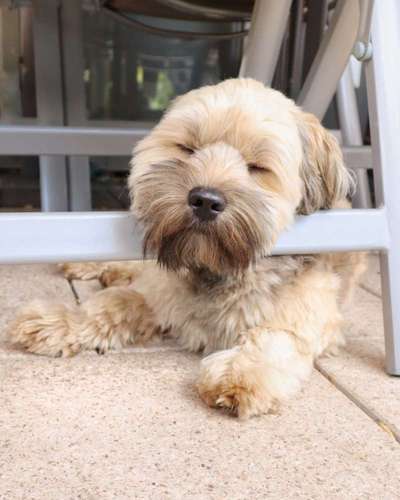 FOTO-Challenge  NR. 91: Die pure Entspannung-Beitrag-Bild