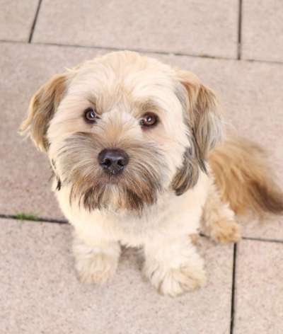 Lieblingsbild-Beitrag-Bild