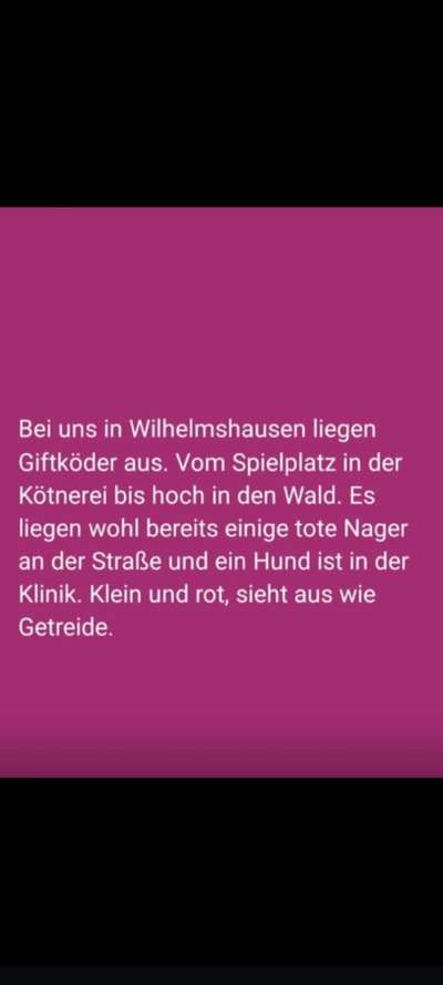 Giftköder-Rattengift-Bild