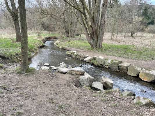 Hundeauslaufgebiet-Stefansbachtal Gevelsberg-Bild