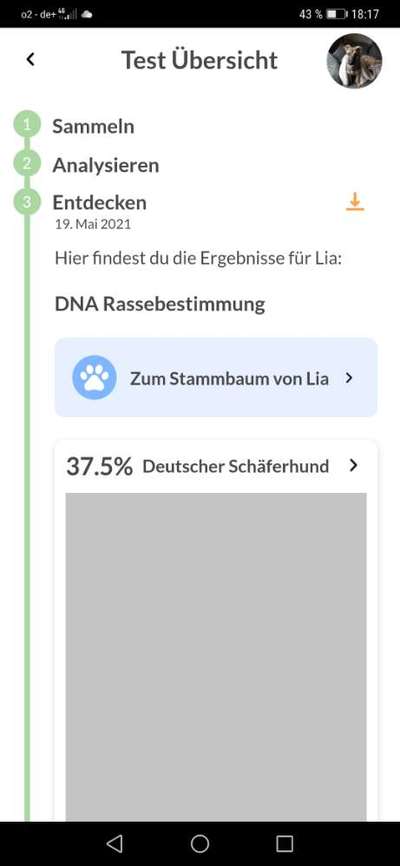 DNA-Tests-Beitrag-Bild