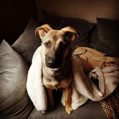 DNA-Tests-Beitrag-Bild