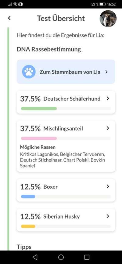DNA-Tests-Beitrag-Bild