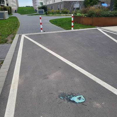 Giftköder-Blaues Erbrochenes, evtl Gift-Bild