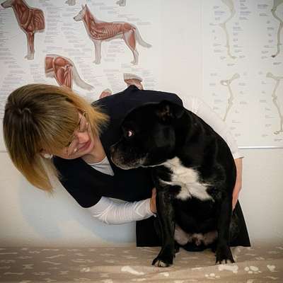Medizinische Dienstleistungen-Mobile Hundephysiotherapie Minds & Paws-Bild