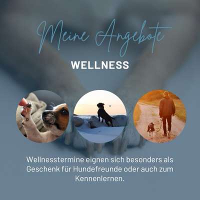 Giftköder-Wellness/Kennenlernen-Bild