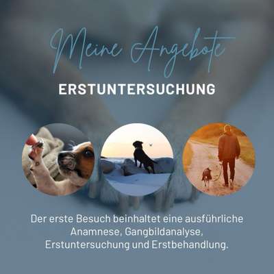 Giftköder-Erstbesuch-Bild