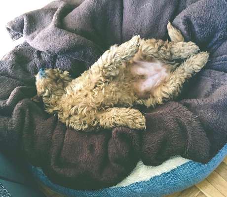 Die unbequemsten und lustigsten Schlafpositionen-Beitrag-Bild