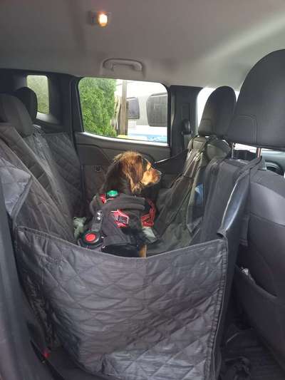 TierschutzhundeStammtisch🐕-Beitrag-Bild