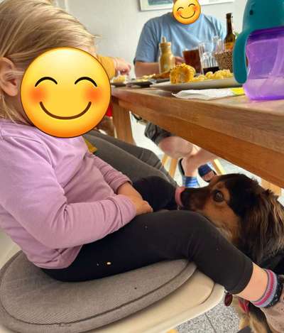 TierschutzhundeStammtisch🐕-Beitrag-Bild