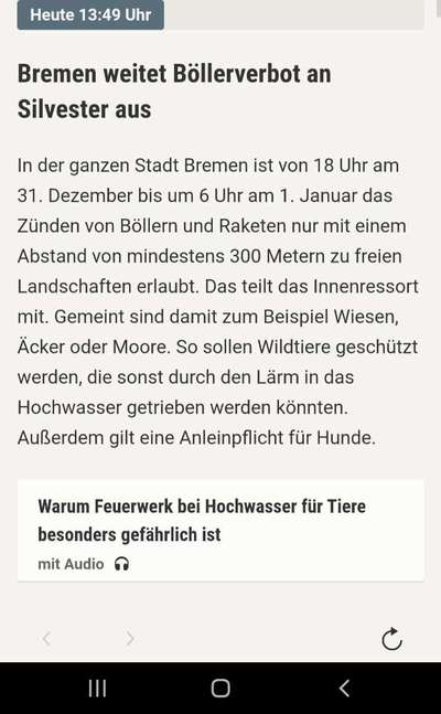 TierschutzhundeStammtisch🐕-Beitrag-Bild