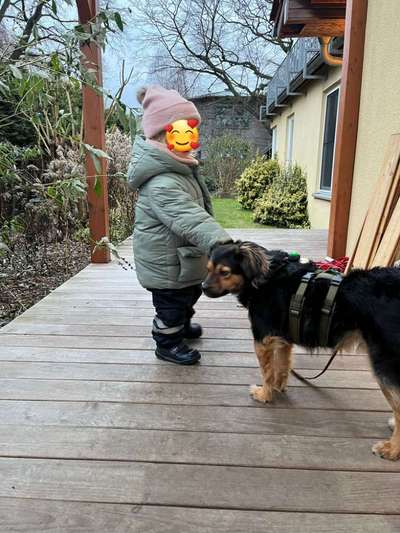 TierschutzhundeStammtisch🐕-Beitrag-Bild