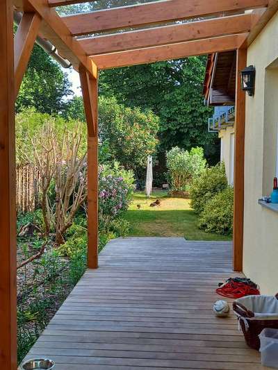 TierschutzhundeStammtisch🐕-Beitrag-Bild