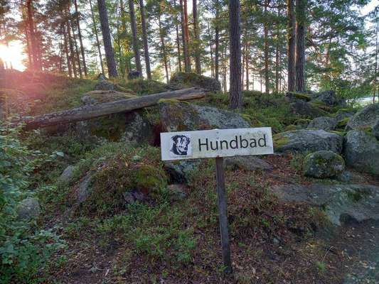 TierschutzhundeStammtisch🐕-Beitrag-Bild