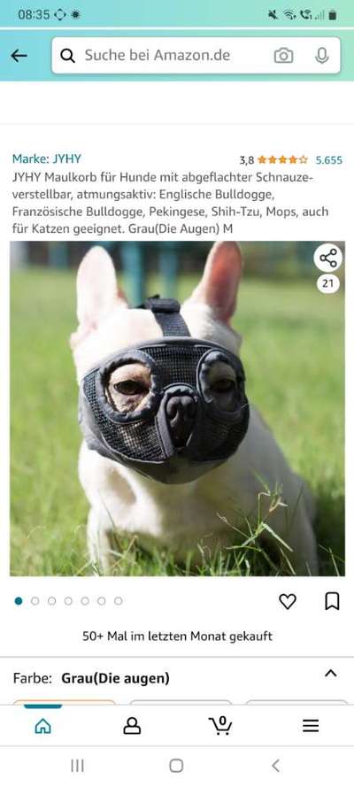 TierschutzhundeStammtisch🐕-Beitrag-Bild