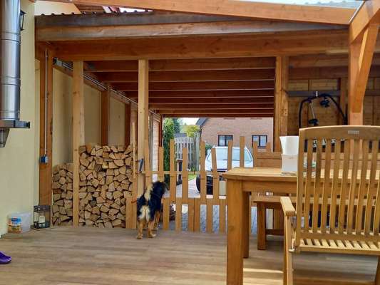 TierschutzhundeStammtisch🐕-Beitrag-Bild