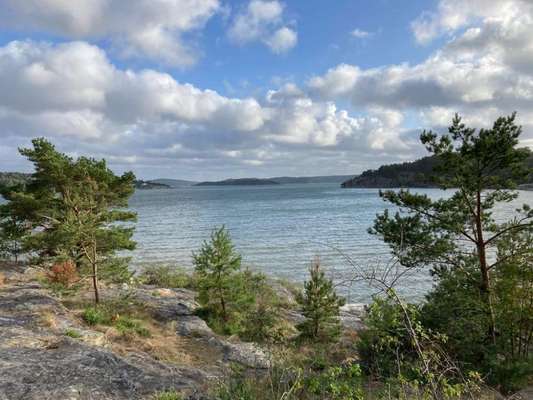 TierschutzhundeStammtisch🐕-Beitrag-Bild