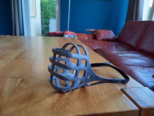 TierschutzhundeStammtisch🐕-Beitrag-Bild