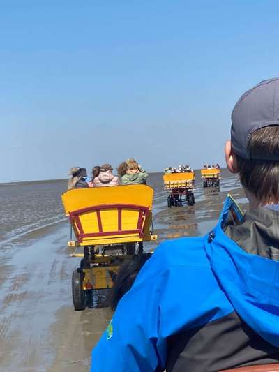 TierschutzhundeStammtisch🐕-Beitrag-Bild