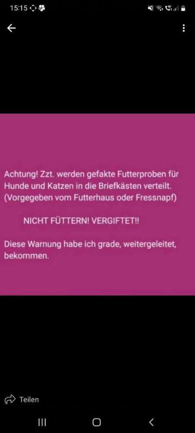 TierschutzhundeStammtisch🐕-Beitrag-Bild