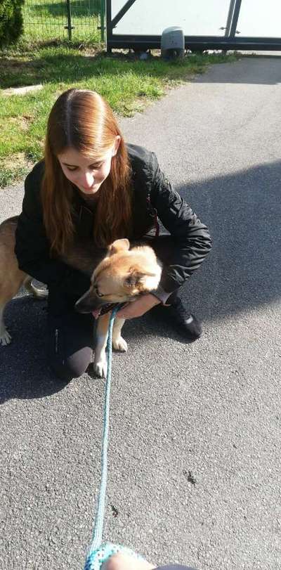 Das erste Foto-Beitrag-Bild