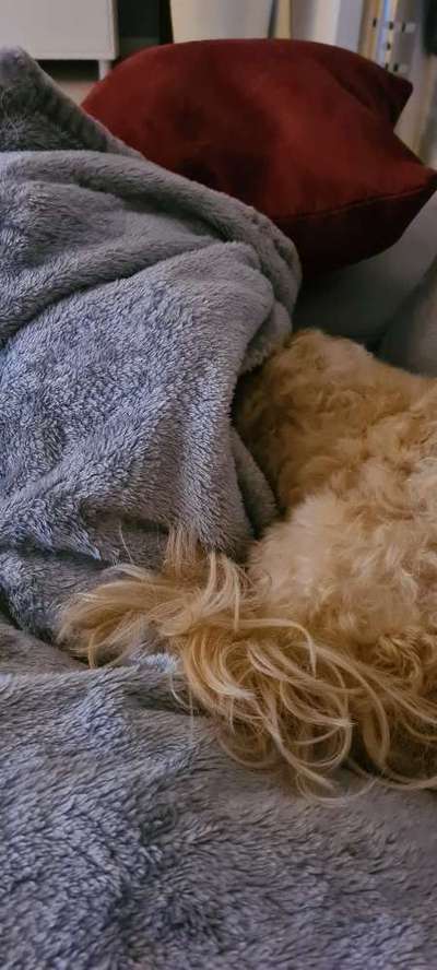 Challenge 21 - wo bin ich : )-Beitrag-Bild