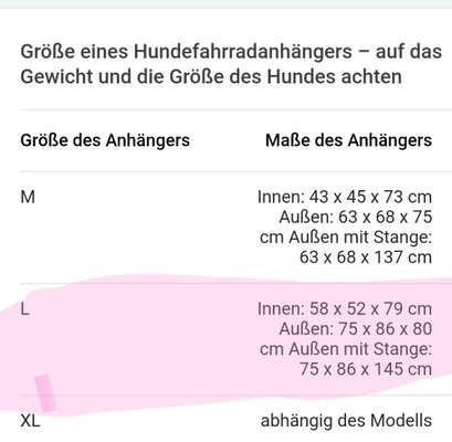 Empfehlungen für Fahrradanhänger-Beitrag-Bild