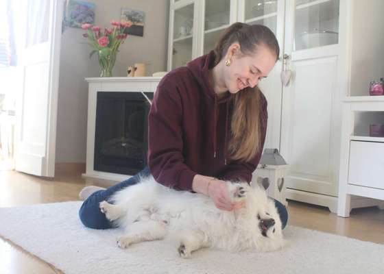 Medizinische Dienstleistungen-Tierphysio mit Franzi-Bild