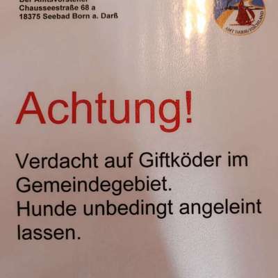 Giftköder-Verdacht auf Gift-Bild