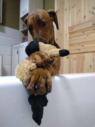 Fotochallange Nr. 57     PORTRÄT.   Beendet!!!!!!!!-Beitrag-Bild