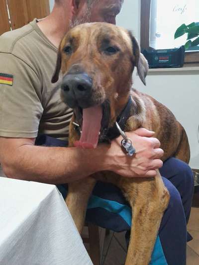 Handyfoto challenge Nr. 13: Waschlappen raus!-Beitrag-Bild