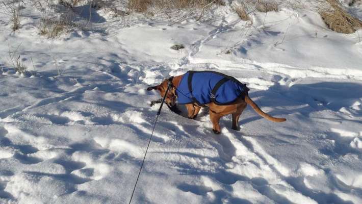 Pullis, Jacken, Hütte und alles sonstiges-Beitrag-Bild