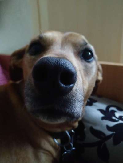 Fotochallange Nr. 57     PORTRÄT.   Beendet!!!!!!!!-Beitrag-Bild