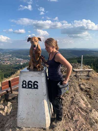 Handyfoto challenge Nr. 13: Waschlappen raus!-Beitrag-Bild