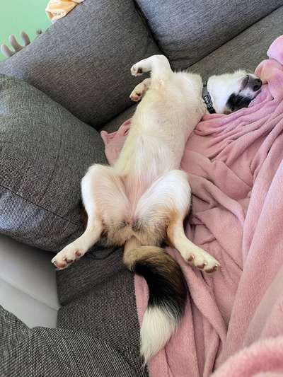 Wieder häufiger raus-Beitrag-Bild