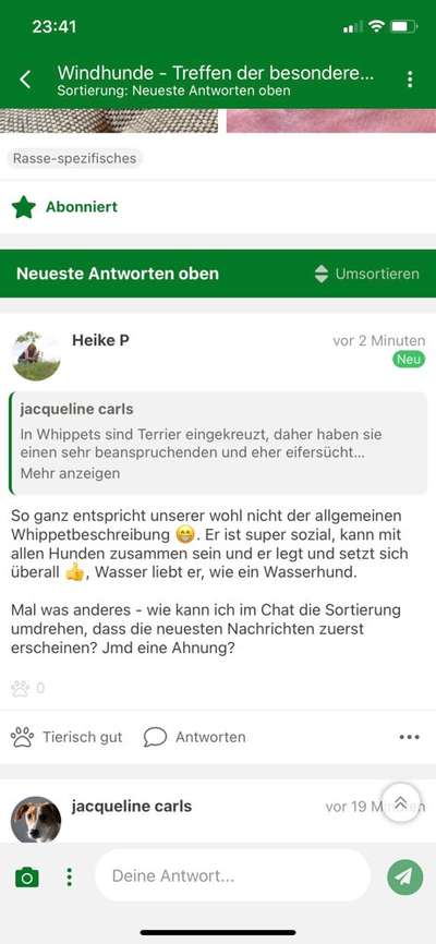 Windhunde - Treffen der besonderen Schönheiten
HERZLICH WILLKOMMEN-Beitrag-Bild