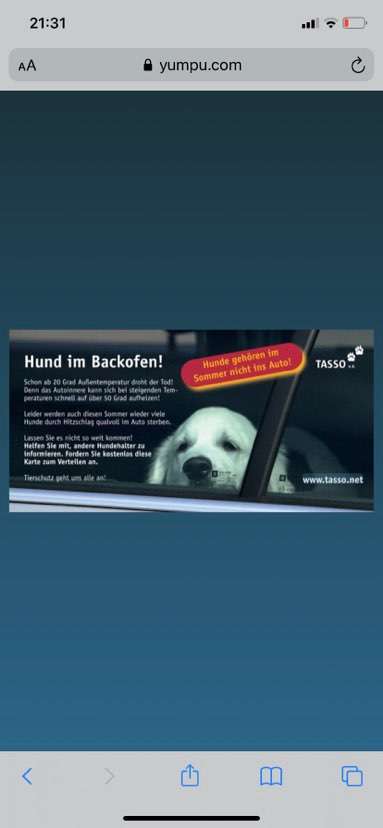 Hund im Backofen!!! Todesfalle Auto...-Beitrag-Bild