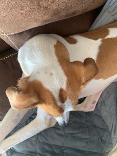 Blick fürs Detail!-Beitrag-Bild