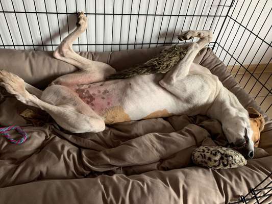 CHALLENGE NR. 34 - Liege-/Schlafpositionen-Beitrag-Bild