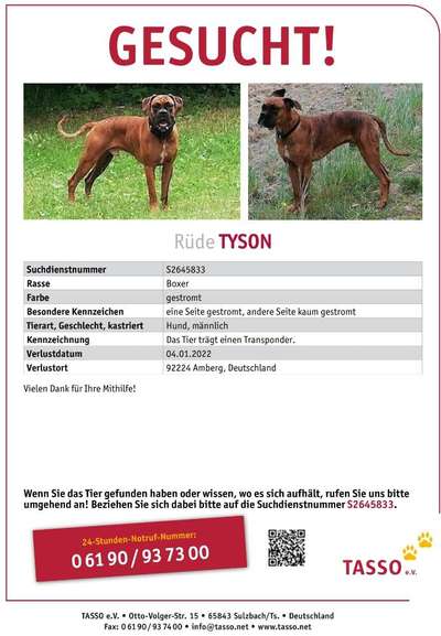 Suchmeldung-Tyson-Bild