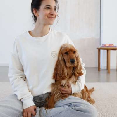 Hundetreffen-Gassi & Spielpartner gesucht-Bild