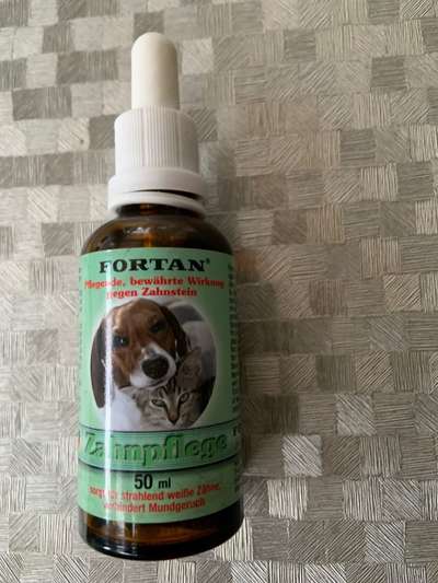 Zahnpflege... putzen, Spray, Gel oder Pulver?-Beitrag-Bild