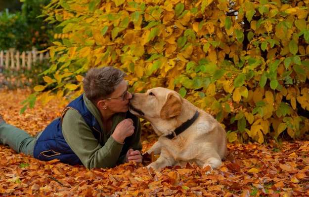 Herbst Bilder-Beitrag-Bild