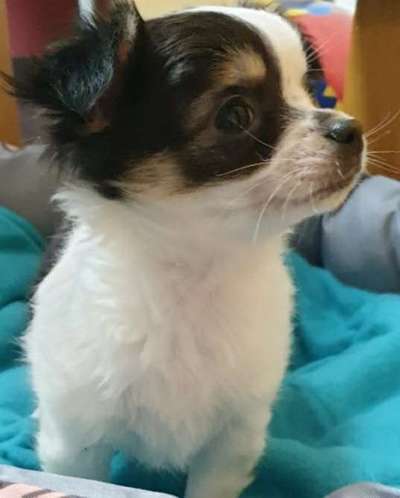 Erstes Bild-Beitrag-Bild