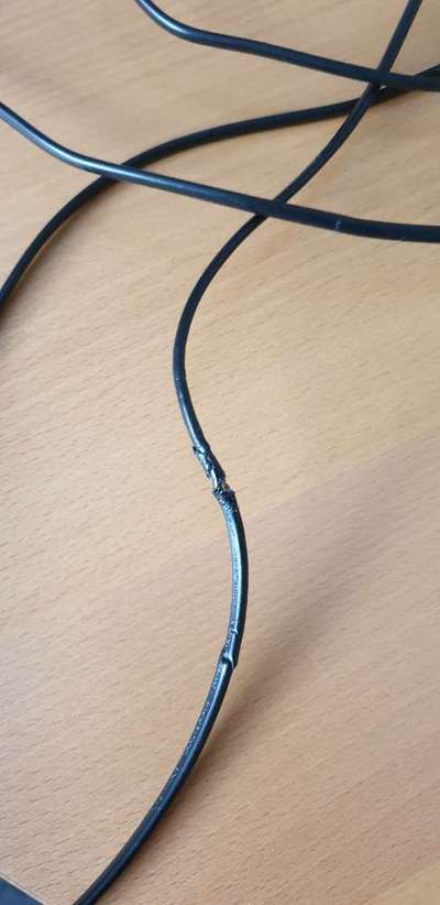 Hund frißt Kabel-Beitrag-Bild