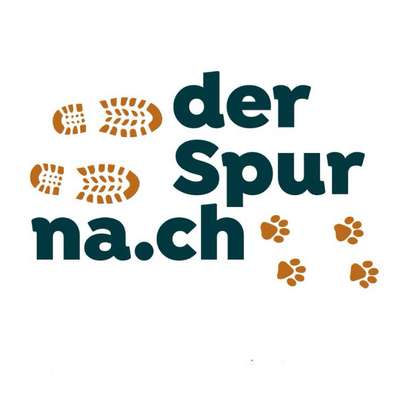 Hundeschulen-Der Spur nach-Bild