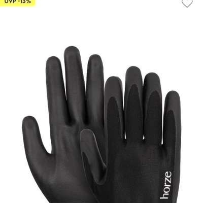 Handschuhe fürs Gassigehen-Beitrag-Bild