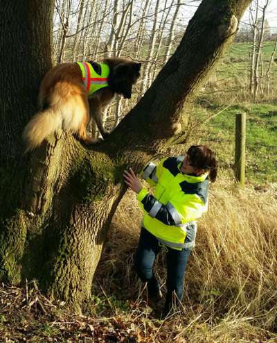 Dunkle Jahreszeit, Sichtbar machen-Beitrag-Bild
